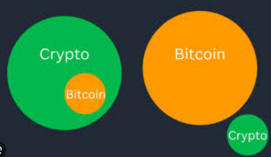 Bitcoin maxi