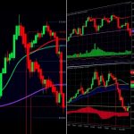 短線煉金術：Swing Trading讓你優雅駕馭市場波浪